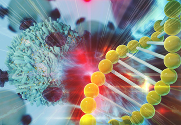 Creation of a Chemotherapy-Gene Interaction Map for Personalized Medicine