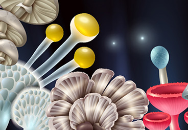 Clinicians Use Psychedelic Mushrooms To Treat Depression