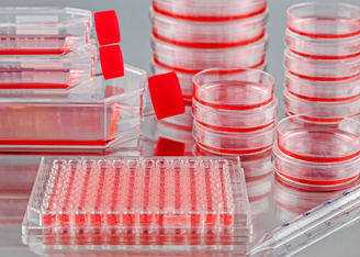 Controlling Endotoxin Contamination in Bioprocessing