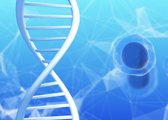 Correcting Human Disease Mutations with CRISPR/Cas9-AAV Strategies