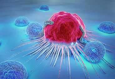 CRISPR-based screening identifies key players in tumor mediated immune evasion