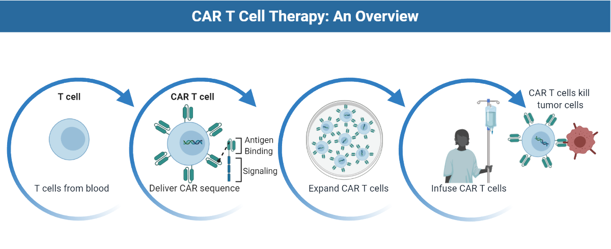 CAR-T Cell Therapy: An Overview