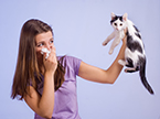 allergies, T cells, immune cells, cell metabolism, immune response, lymphocytes, asthma