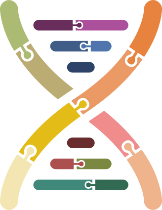 dna structure