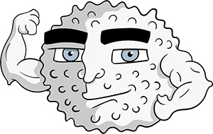 Anthropomorphic, antibodies, art