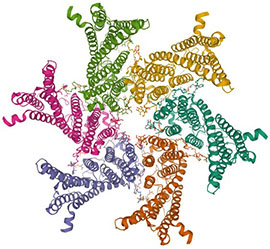 CryoEM structure of SERINC