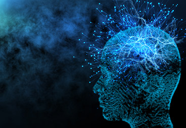 Evidence for Enduring Neurogenesis in Adult Brains 