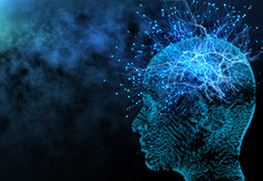 Evidence for Enduring Neurogenesis in Adult Brains