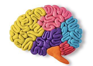 Gene Therapy Approaches to Angelman Syndrome