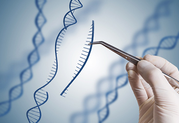 CRISPR Researchers Develop Method for Precise, Template-Free Genome Editing