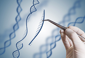Genome Editing Picture