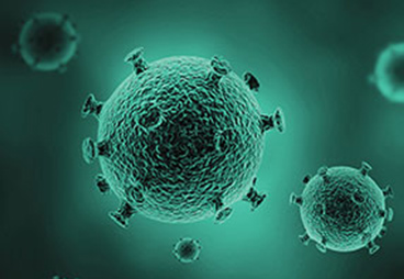 GenScript takes immediate actions to support research and diagnostics of 2019 novel coronavirus