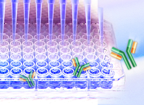 Cancer AND bioengineering AND NOT clinical, Cancer and drug not (clinical or patient), Cancer + biomarker