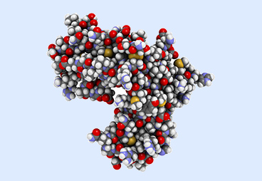 Designed protein mimetic stimulates cancer-fighting immune cells without toxic side effects