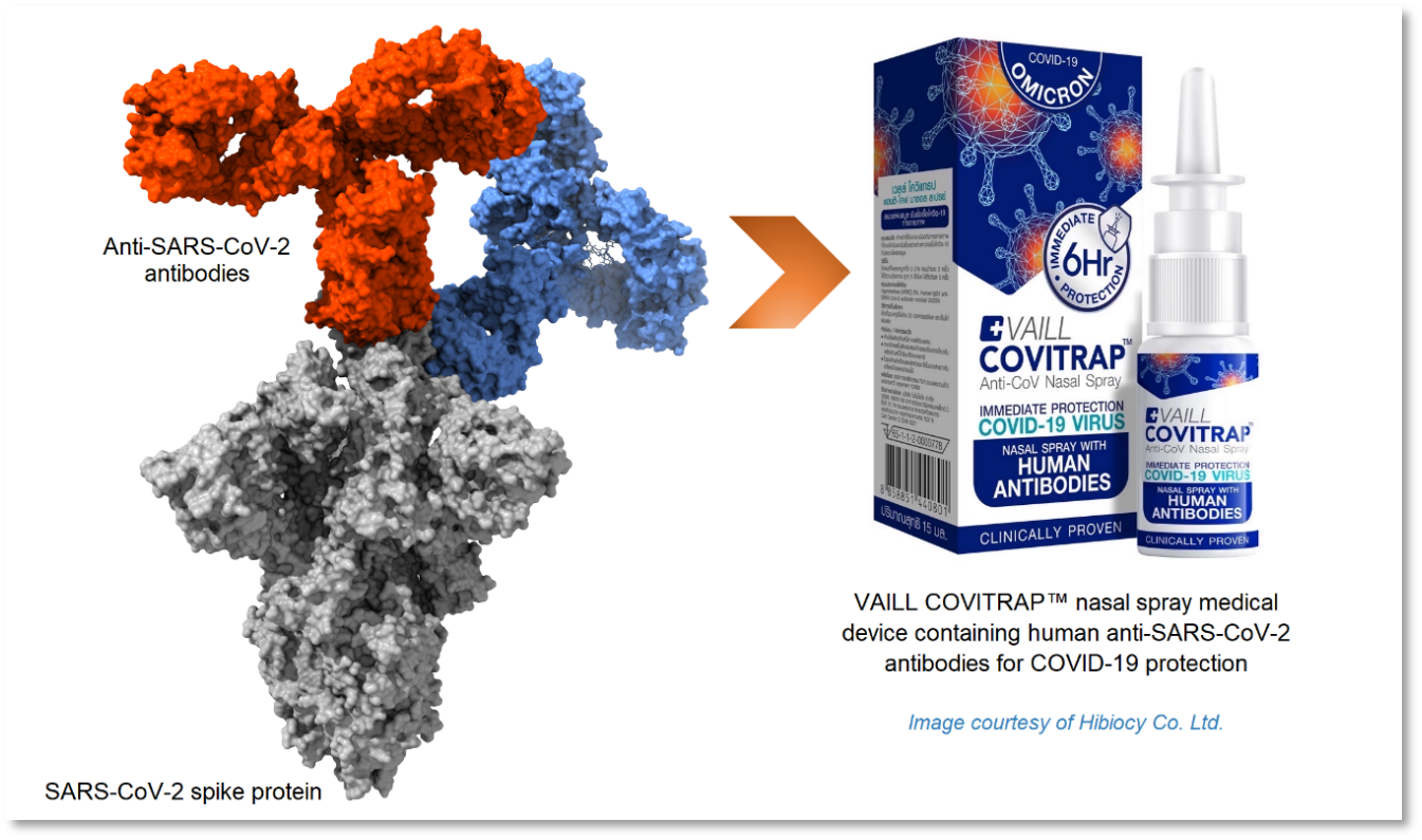 Human anti-SARS-CoV-2 antibodies and VAILL COVITRAP™