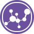 Custom Peptides Synthesis