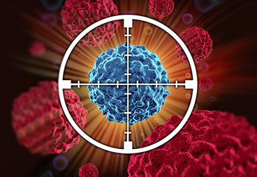 An immunotoxin directed at regulatory T cells leads to long-lasting tumor regression  