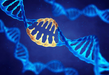 Inducible and reversible regulation of CRISPR-Cas9