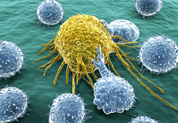 Inhibiting Survivin to Survive Cancer