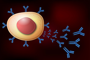 Anigen Strategy for Antibody Production