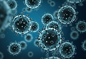 antibodies against flu picture
