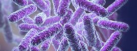 A Novel Endotoxin-free Microbial Recombinant Protein Expression System: Solutions for Difficult Proteins