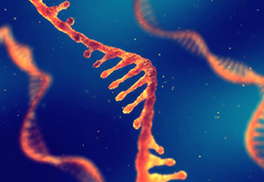 gene therapy picture