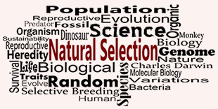 new algorithm picture