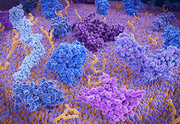 Neoantigen peptides and T-scan: high output screening platform with GenScript peptide service