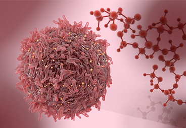 New Hope for Skin Cancer Patients by Peptide Vaccination