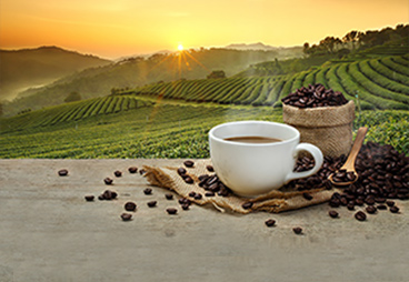 New Study Shows the pros and cons to drinking coffee