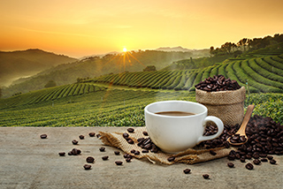 Coffee Picture