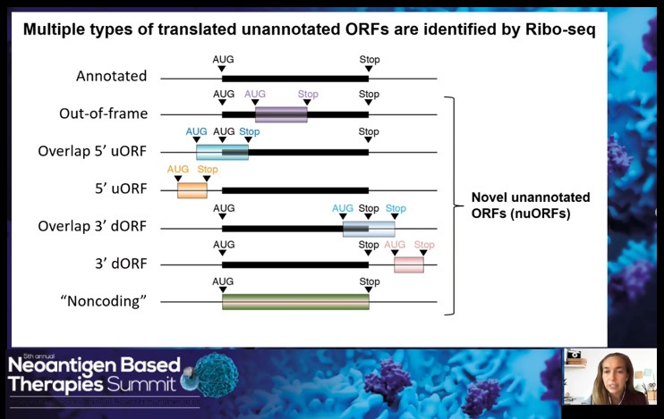 nuORFs derived peptides - Ribo-seq