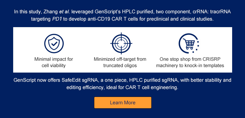 CAR T Cells Targeting PD1