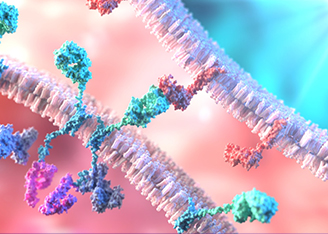 Novel CRISPR-based Non-viral Approach for CAR T Cell Generation