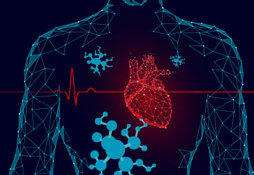 A New Peptide Anti-Inflammatory Strategy in Treating Heart Disease