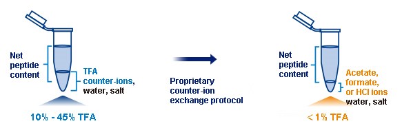TFA Exchange services