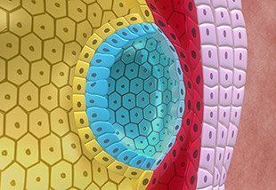 reprogram natural cell processes picture