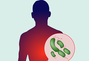Scientists identified a molecule that mediates the communication between gut microbes and human
