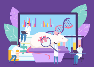 Single-Stranded DNA for Improved Knockin Efficiency: Animal Model Generation
