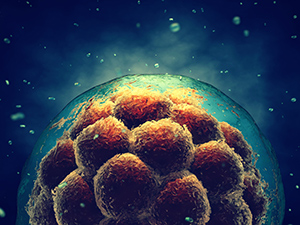 Stem Cell Secretome Leads to Somatic Cell 