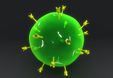 Follicular T helper cells - What they are and how PD-1 regulates them
