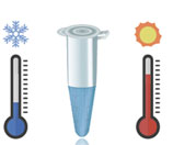 DNA polymerase for all seasons