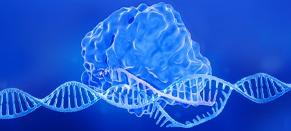 Theory to action: Applying CRISPR in Research 