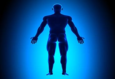Thousands of novel protein families identified in the human body