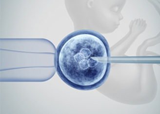 CRISPR for Human Embryo Editing