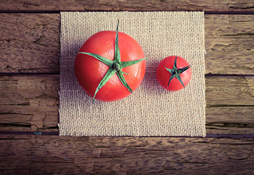 3 Tips on How to Optimize Protein Expression