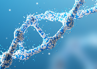 Tips for Improving the Efficiency of CRISPR mediated Knock-in