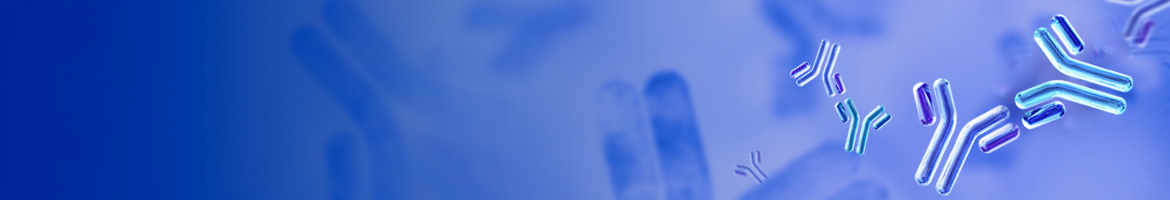 Anti-idiotype Antibody Services Banner