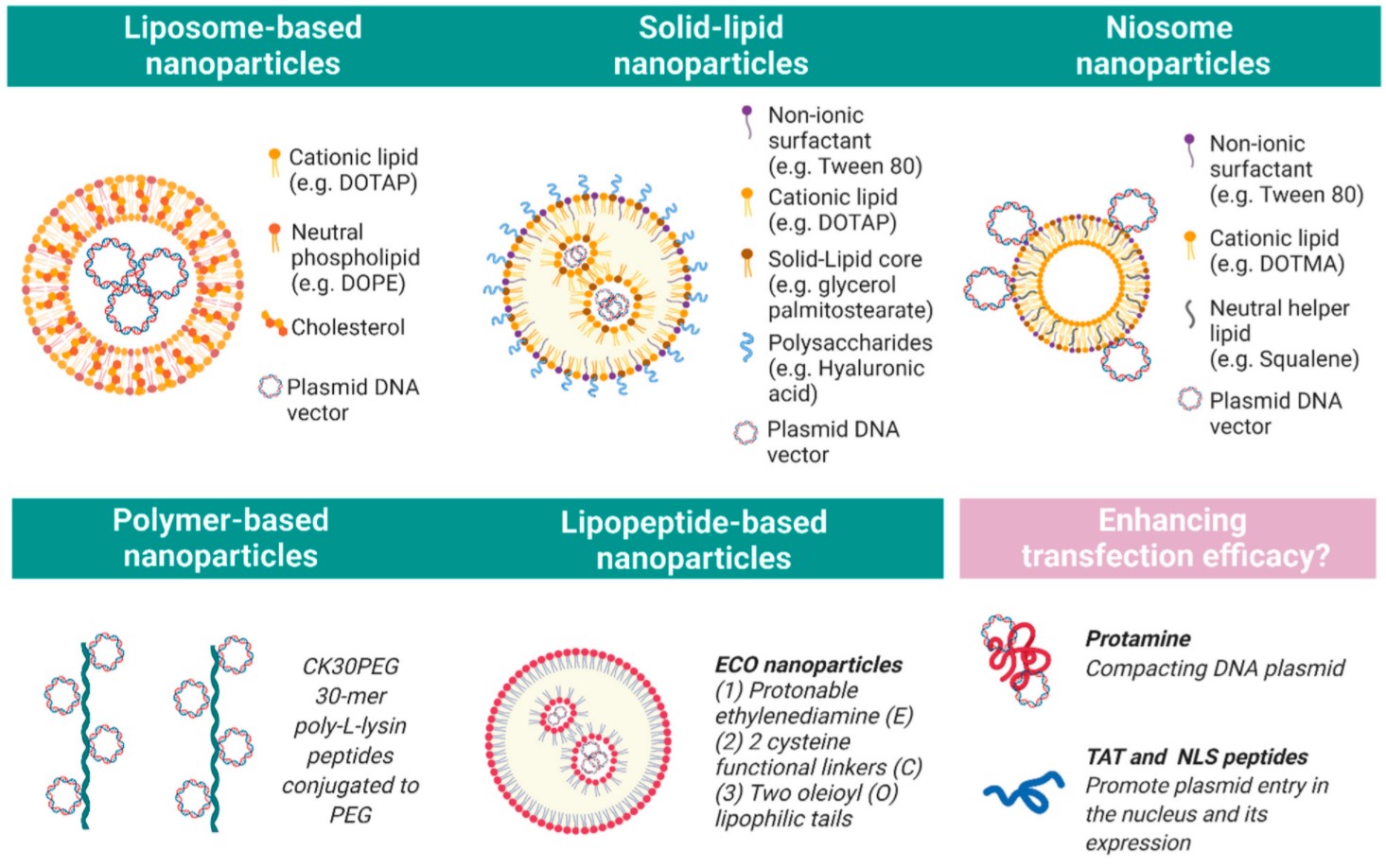 Key nanoparticles of interest for retinal non-viral gene therapy